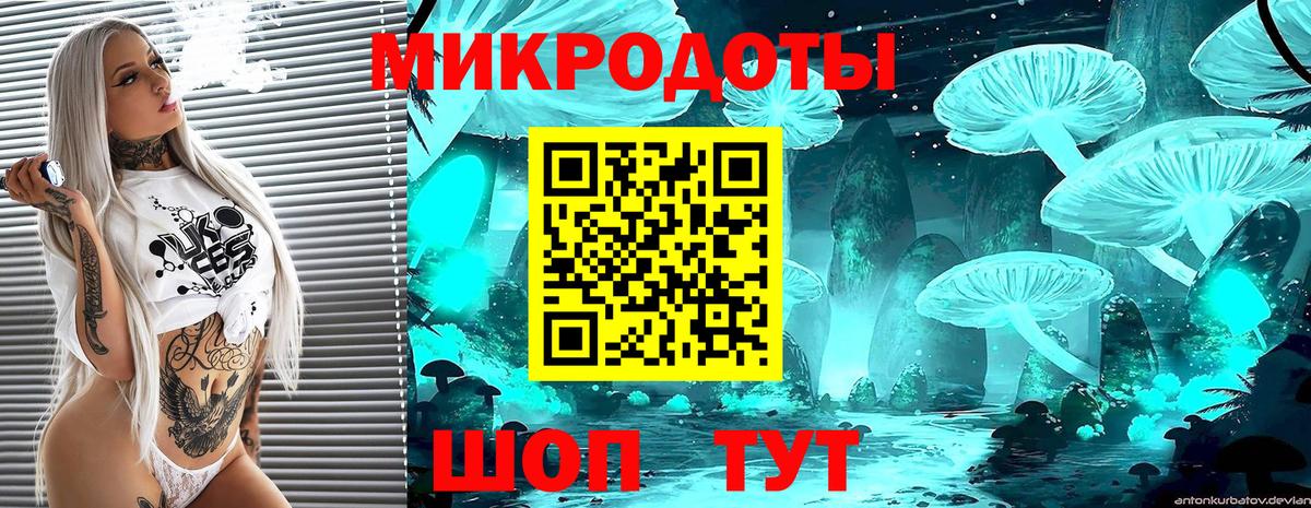 Псилоцибиновые грибы прущие грибы Шебекино