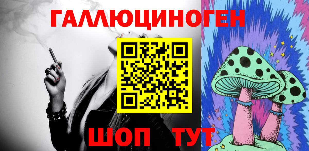 Шебекино  закладка  Вход с VPN  Псилоцибиновые грибы Cubensis  Псилоцибиновые грибы Cubensis 